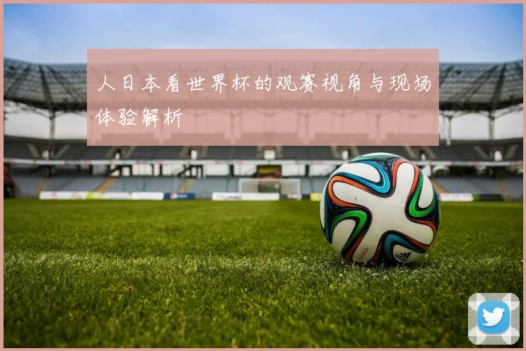 人日本看世界杯的观赛视角与现场体验解析