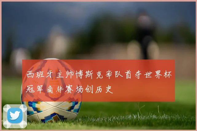 西班牙主帅博斯克率队首夺世界杯冠军南非赛场创历史